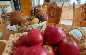 Orle Gniazdo - Foto 79