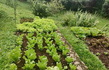 Reserva Atibaia / Casa de Montanha - Photo 58