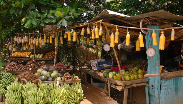 Higüey & Sugar Cane Fields Safari - Foto 2