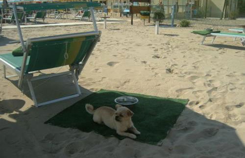 Residence Costablu - Foto 39