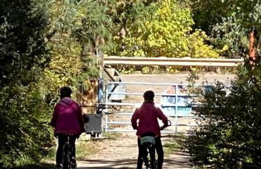 Cozy Rustic Cabin with Riverside Patio on the Pecos River – Pecos, New Mexico - Foto 39