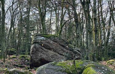 Cabane de Mardil - Foto 25