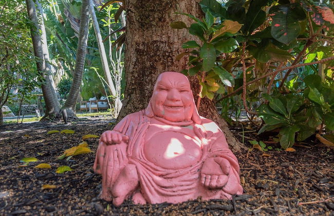 The Palms Cottage Private Pool, Downtown, Beach, The Square - Foto 44