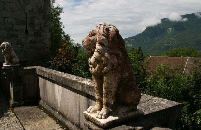 Renovated Castle Apartment With Swimming Pool - Foto 38