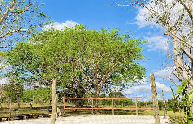 Sítio Rio Gouveia - Foto 21