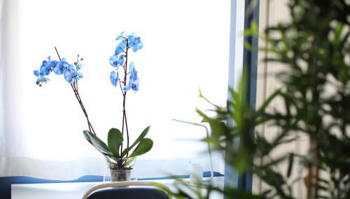 Maestro Damián, Moderna Vivienda Turística a Estrenar en Bilbao - Foto 2