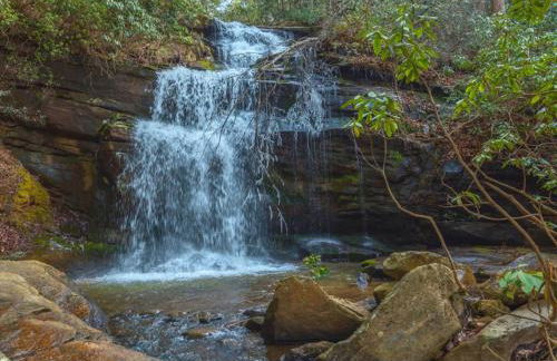 Above the Clouds Log Cabin, Hot Tub & Views! - Photo 42