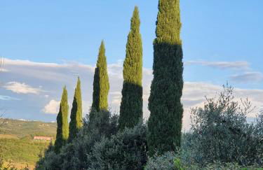 VILLORE - Home Sweet Home Tuscany - Foto 9
