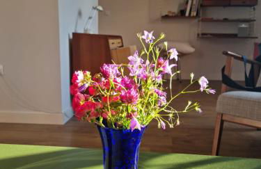 El Tejo, Luminoso y acogedor apartamento - Foto 8