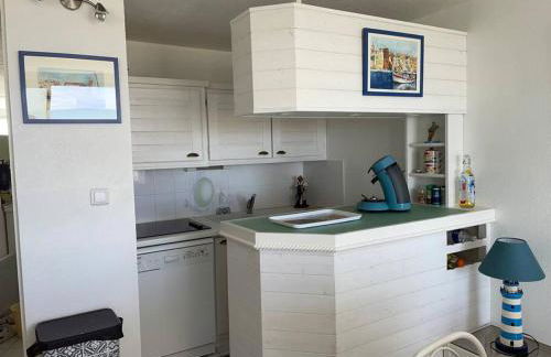 Port Leucate : superbe appartement pleine vue mer - Foto 16