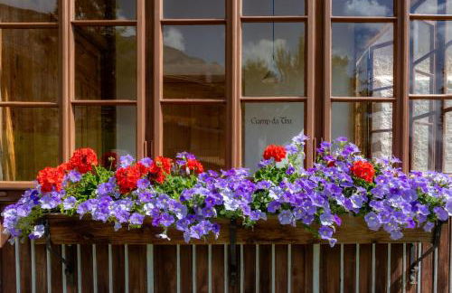 Agriturismo Maso Runch - Foto 39