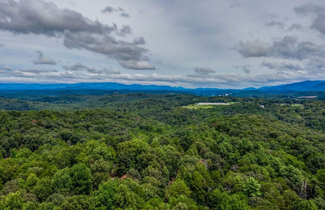 The Treehouse - Foto 30