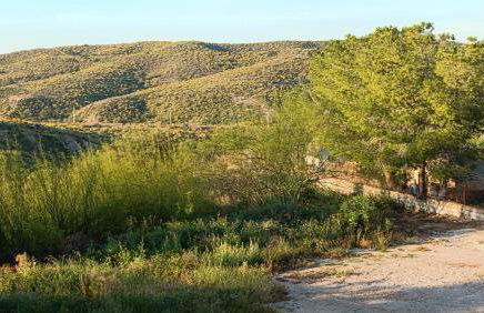Finca La Senorita - Foto 60