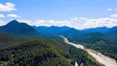 Cozy Cedar Cabin Steps Away From Mt. Rainier - Foto 3