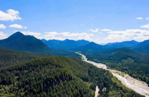 Cozy Cedar Cabin Steps Away From Mt. Rainier - Foto 3