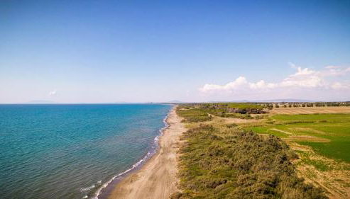 Podere Giovanni Olivo - Foto 5