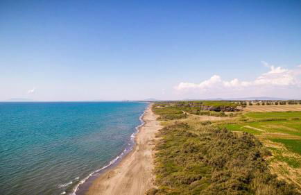 Podere Giovanni Olivo - Foto 5