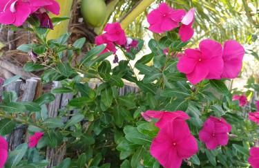 Ventos do Delta Kite Chalés - Photo 26