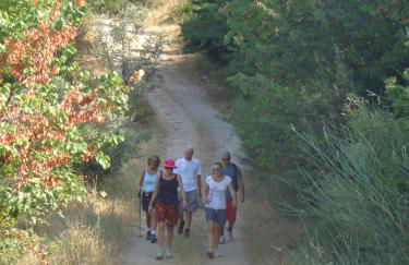 Olive Grove House - Foto 54