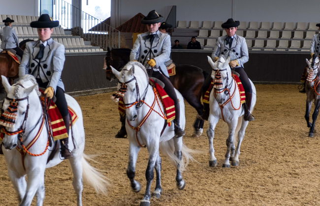 Spectacle équestre à Carmona - Photo 1