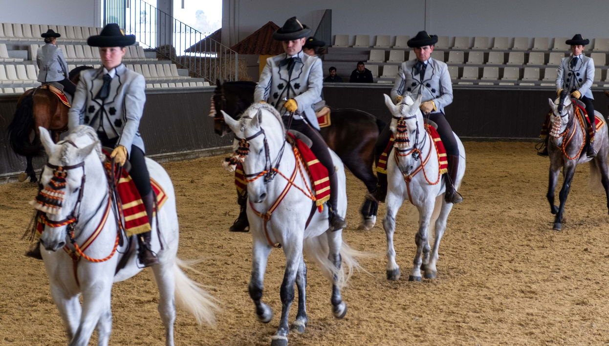 Spectacle équestre à Carmona