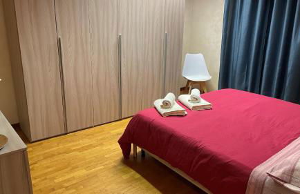 Rose e Frutta - Yellow Daisy - Foto 17