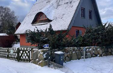 Strand 5 min - Ferienhaus Feldlerche auf Usedom - Foto 37