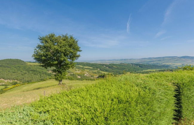 Verdidea - Podere del Mezzadro - Foto 56