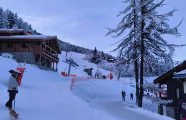 Résidence Le Rami Les Coches - La Plagne - Foto 18