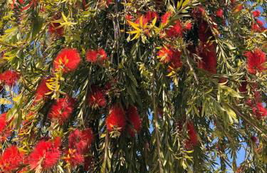 10-12-bed house in Nerja Frigiliana, Costa del Sol - Photo 70