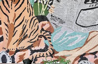 Wild Springs - Centraly Located House With Free Parking - Foto 15