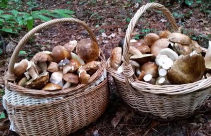 Villa de rêve - Foto 22