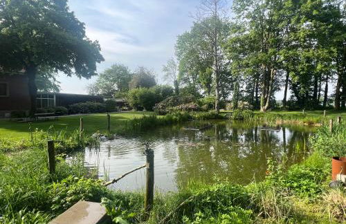 Dreckerhook, oasis to slow down! - Foto 28