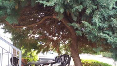 Fewo-Nescht - Foto 2