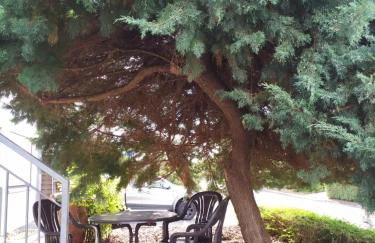 Fewo-Nescht - Foto 2