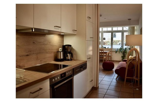 Herring Gull in the Villa Meernixe Binz - Photo 4