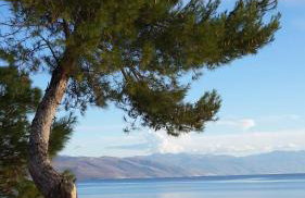 Altstadtvilla BAN's - Photo 46