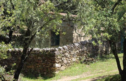 Nature Space Jabugo - Foto 16