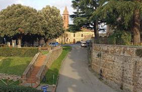 Il Glicine - anemone - Foto 6