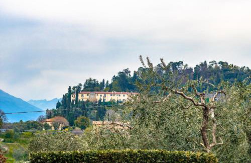Pescallo Mandarin by Wonderful Italy - Foto 67