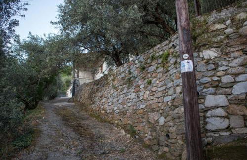 Fofi's House - Foto 28