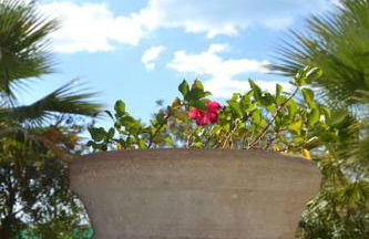 Villa sul mare - Foto 39