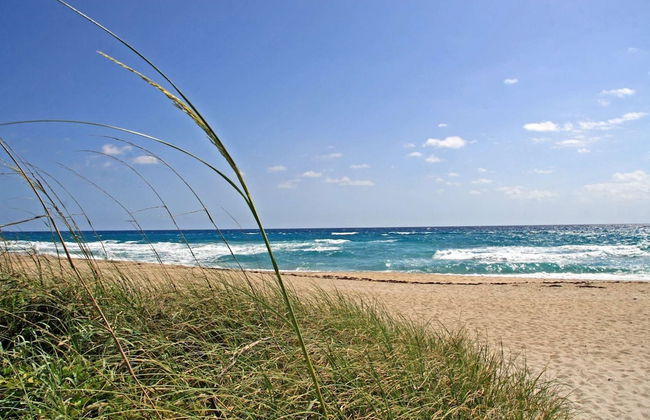 Sunset Cottage West Palm Beach/close to Downtown/ Shops/ Pet Friendly - Foto 15