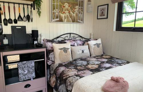 Little Bo Peep - Foto 33