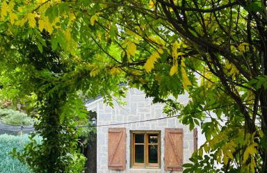 Villa Aurelia - Casa de campo con jardín y piscina entre Madrid y Segovia - Photo 62