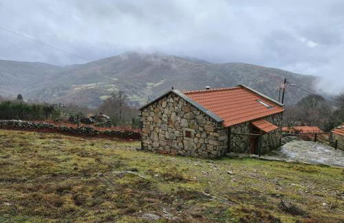 Cardenha da Bessada - Foto 19