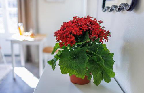 "Aux Grandes Ecoles" Studio Premium cœur de Poitiers - Foto 11