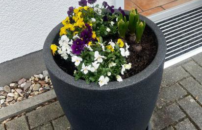 FeWo-Airport - Foto 42