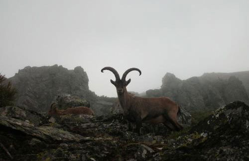 Casa Rural Arroal - Foto 40