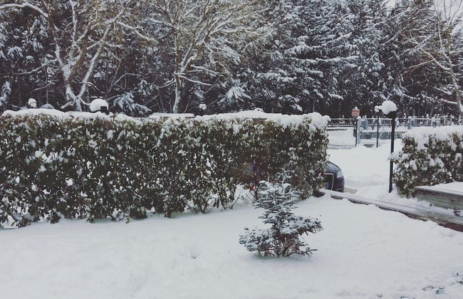 Affittacamere il Boscaiolo - Foto 33